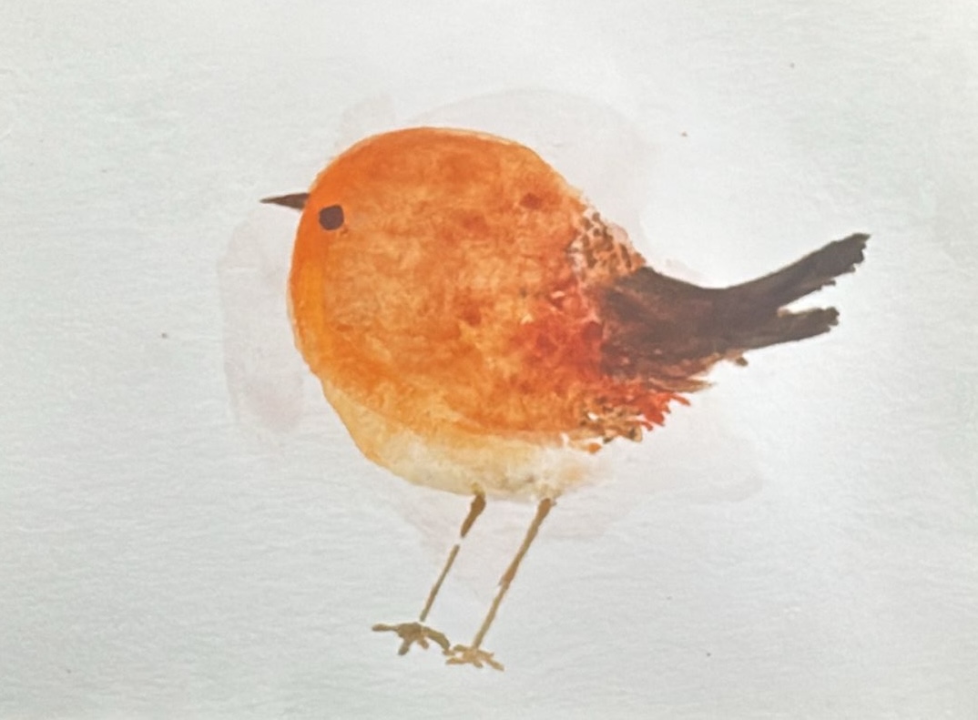 Watercolor robin bird with warm orange plumage
